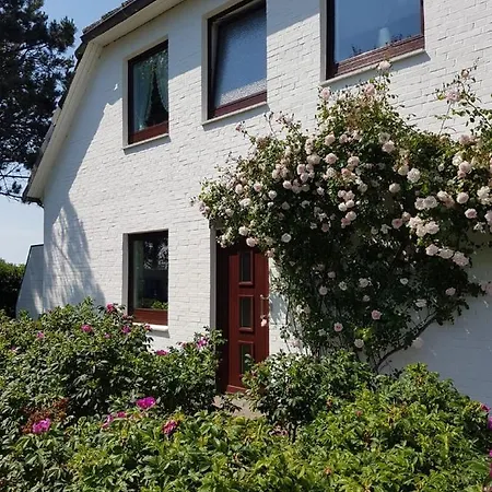 Apartament Wildrose Eg Archsum Zewnętrze zdjęcie